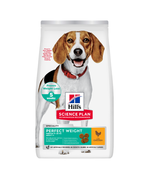 Hills per Qen Medium Perfect Weight 2 kg