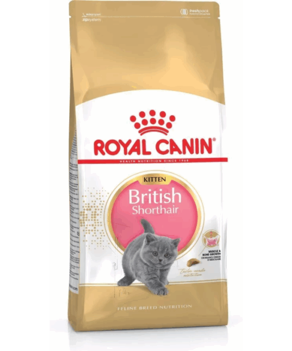 Royal Canin Kitten British shorthair (2kg)