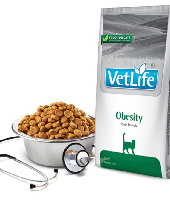 Vet Life Obesity për mace 2 kg