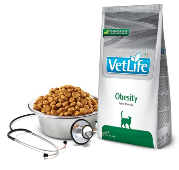 Vet Life Obesity për mace 2 kg