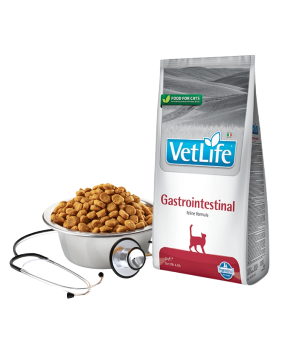 Vet Life Gastrointestinal mace 2 kg