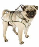 RAINCOAT TG.43 RAINCOAT