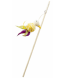 Croci Loder Mace me zog 40 cm