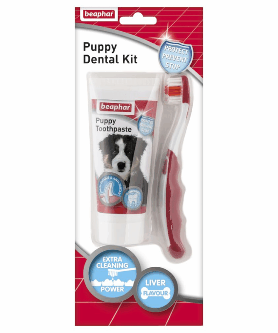 Beaphar Kit Dentar per Kelyshe