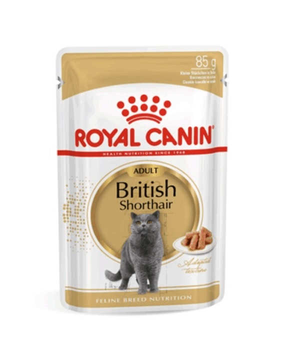 Royal Canin British Shorthair Ushqim i lëngshëm për mace 85g