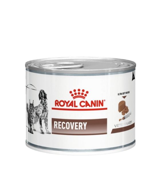 Royal Canin Recovery Qen 195gr