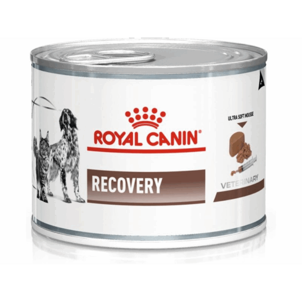Royal Canin Recovery Qen 195gr