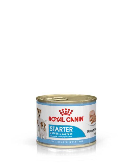 Royal Canin Starter Mousse Mother & Babydog Ushqim i lëngshëm (195g)