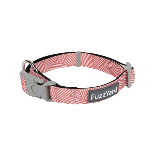 FuzzYard Dog Collar - Thornbury Brick Red S