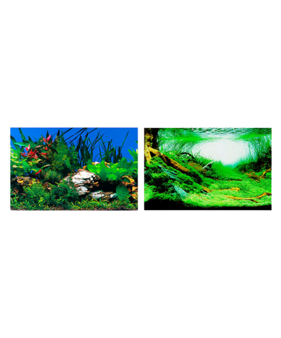 Ferplast Sfond akuariumi me Imazh nga te dyja anet 60 x h40 cm