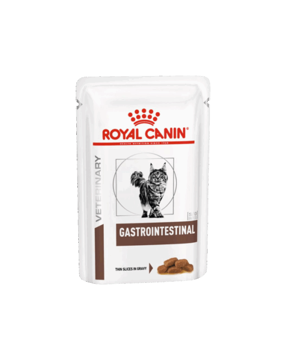 Royal Canin Gastrointestinal per Mace 85g