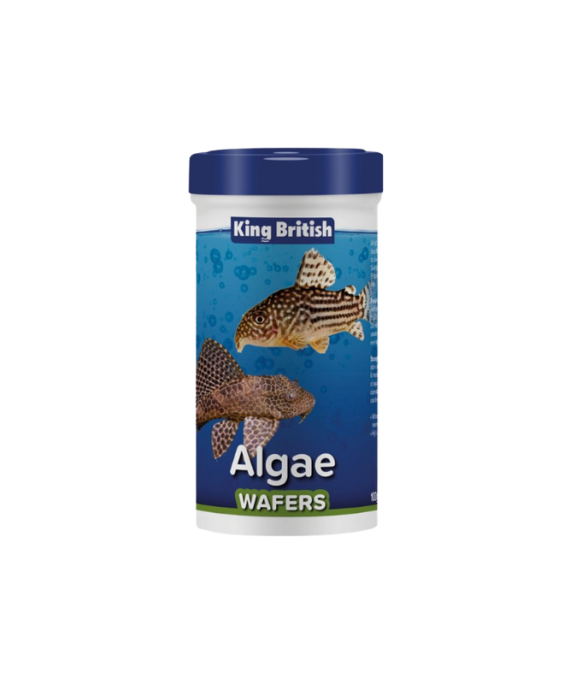 King British Ushqim per Peshq me Alga 40 Gr