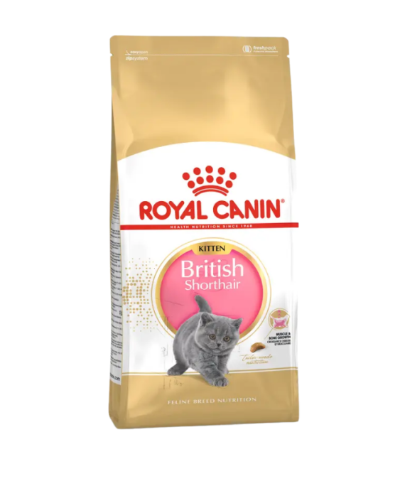 Royal Canin Kitten British shorthair (2kg)