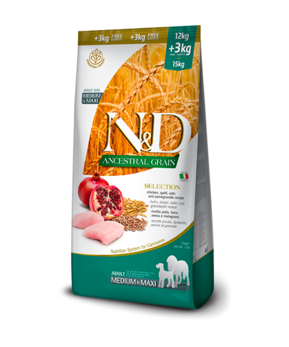 N&D Ancestral Grain Adult Medium Maxi Pulë & Shegë 15 kg