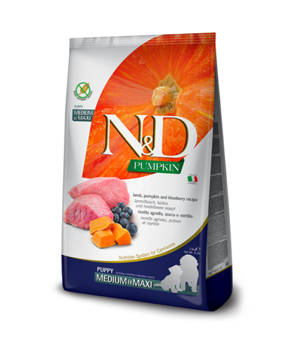 N&D Puppy Medium Maxi Qingj, Boronicë dhe Kungull 12 kg