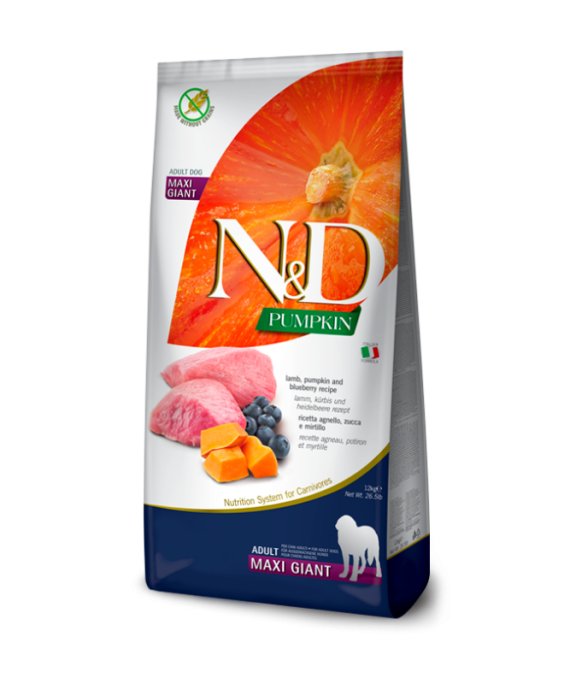 N&D Adult Maxi Giant Qingj, Boronice dhe Kungull 12kg