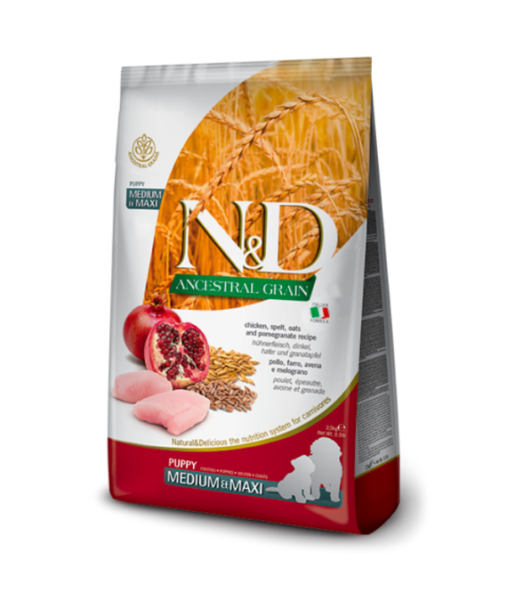 N&D Ancestral Grain Puppy Medium Maxi Pule dhe Shege 12kg