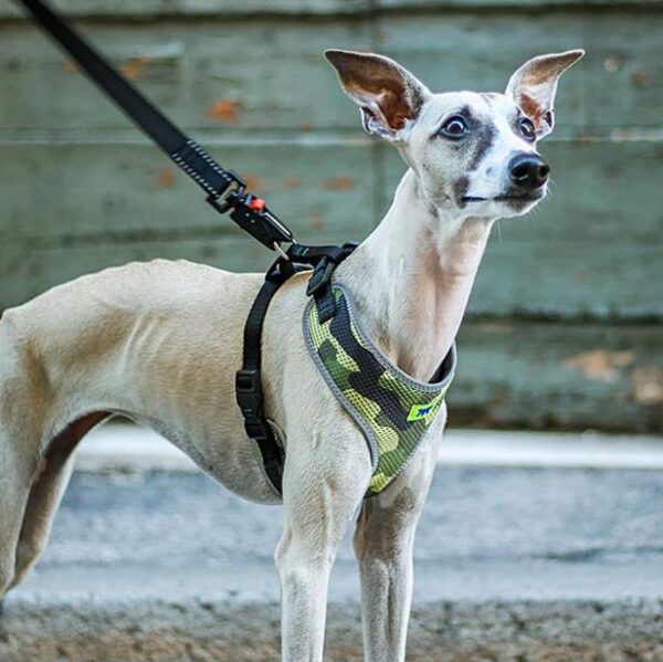 NIKITA FASHION M HARNESS GREEN