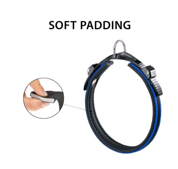 Ferplast Qafore Ergonomike C25/51 Blu per Qen