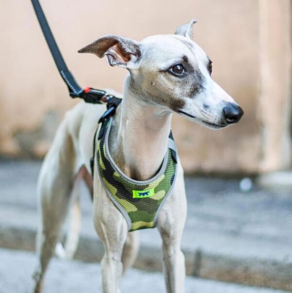 NIKITA FASHION M HARNESS GREEN