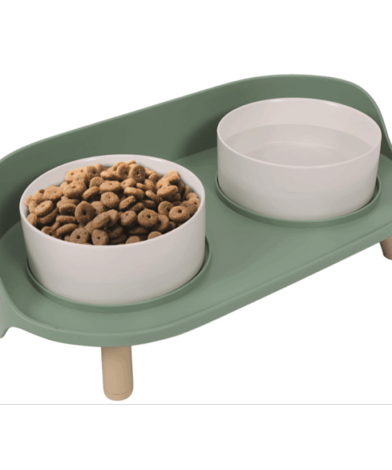 Altitude Double Raiset Pet Bowl