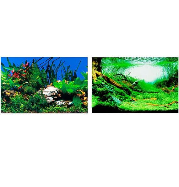 Ferplast Sfond akuariumi me Imazh nga te dyja anet 60 x h40 cm