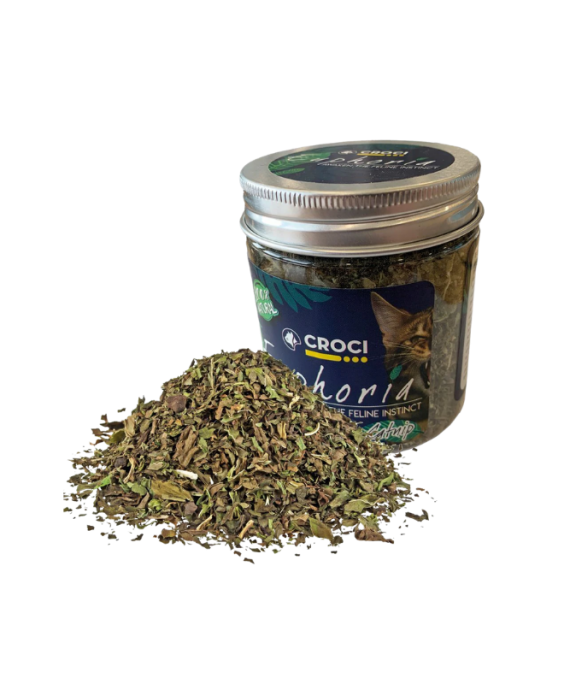 Croci Euphoria Kavanoz me Catnip 25gr