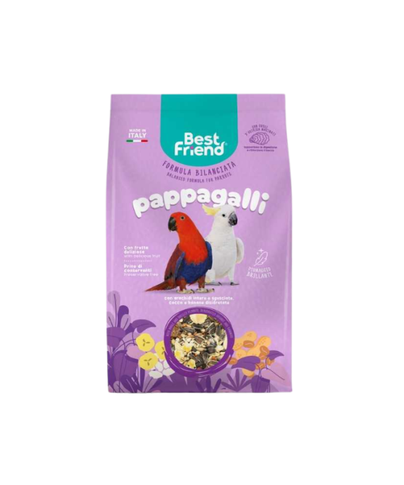 Best Friend Ushqim për papagaj 500 g