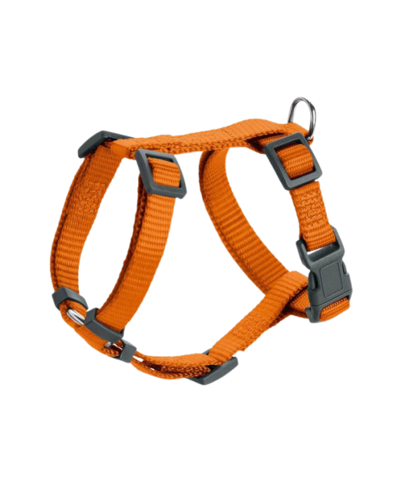 Hunter Trupore per Qen Portokalli 58-101/M